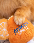 Load image into Gallery viewer, Apawrol Spritz | Squeaky Plush Dog Toy with Crinkle & Mesh Lining
