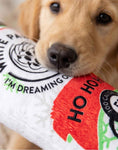 Load image into Gallery viewer, White Paw - Howliday Plush Dog Toy Holiday Christmas
