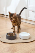 Load image into Gallery viewer, Sphere Ceramic Pet Bowl flair.pet
