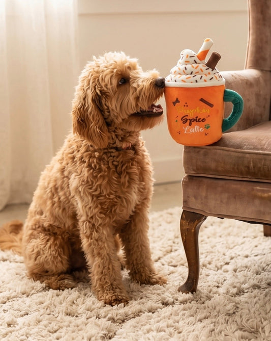 Pupkin Spice Latte Mug
