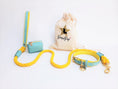 Load image into Gallery viewer, WASTE BAG HOLDER - SUNSHINE BABE
