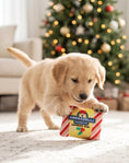 Load image into Gallery viewer, Grrradelli Puppermint Bark Square Christmas Holiday Plush Dog Toy
