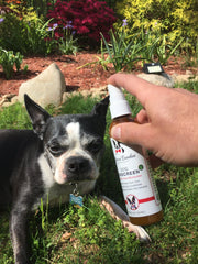 Dog Sunscreen With Aloe Vera Moisturizer