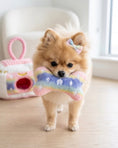 Load image into Gallery viewer, Pink Ombre' Chewy Vuiton Trunk
