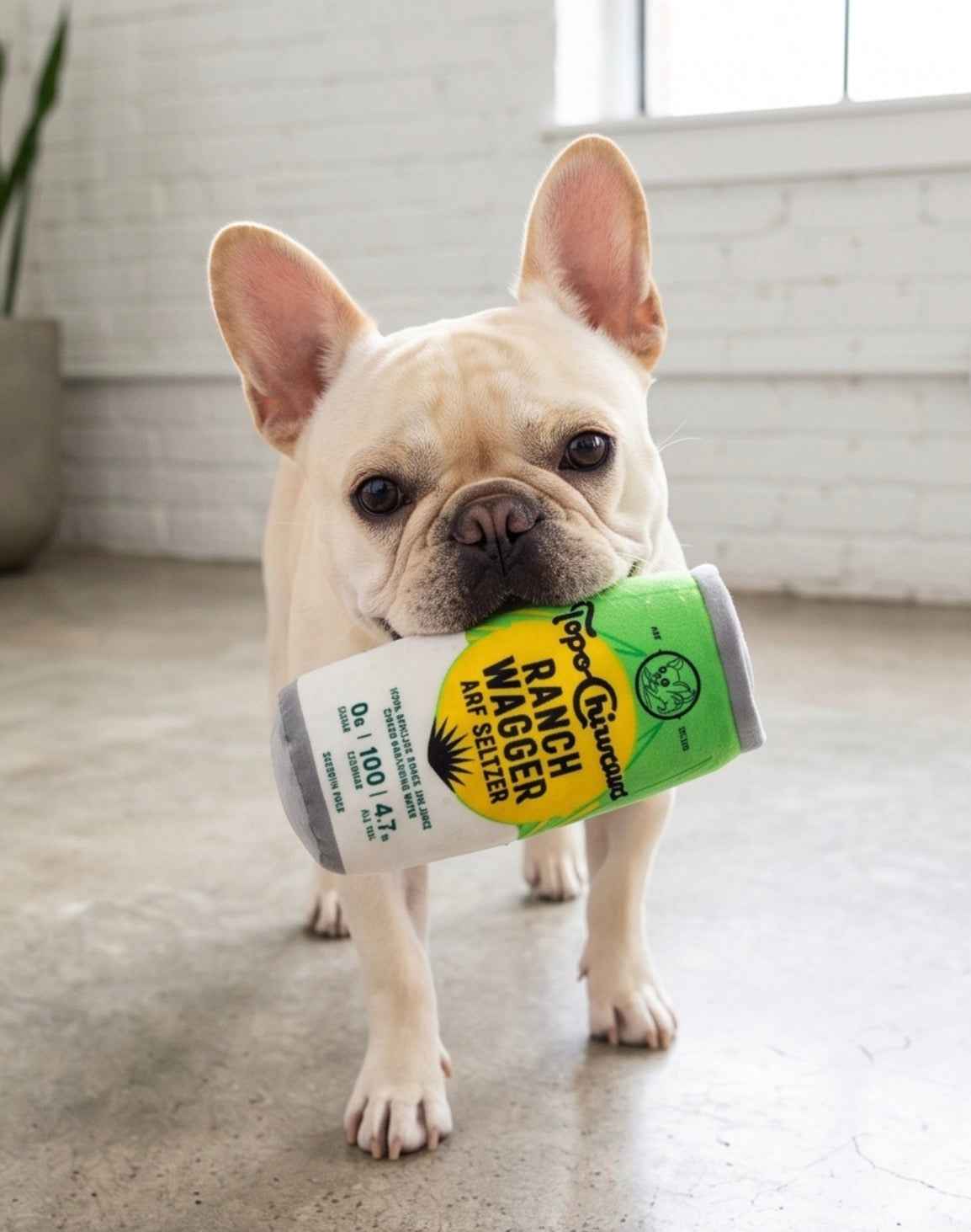 Topo Chiwawa Ranch Wagger