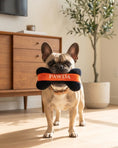 Load image into Gallery viewer, Pawda Bone | Squeaky Plush Dog Toy with Crinkle & Mesh Lining
