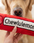 Load image into Gallery viewer, Chewlulemon Yoga Mat | Squeaky Plush Dog Toy with Crinkle & Mesh Lining
