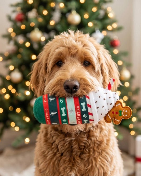 Starbarks Ginger Bark Latte Holiday Christmas Plush Dog Toy
