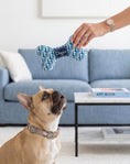 Load image into Gallery viewer, Dogior Bone | Squeaky Plush Dog Toy with Crinkle & Mesh Lining
