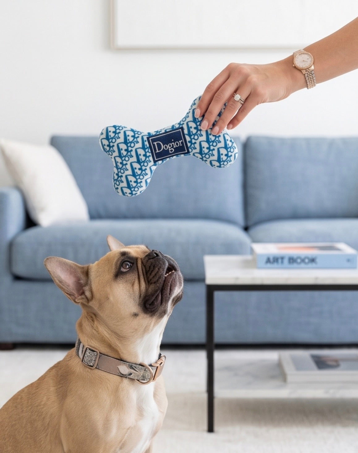 Dogior Bone | Squeaky Plush Dog Toy with Crinkle & Mesh Lining