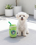 Load image into Gallery viewer, Starbarks Iced Matcha | Squeaky Plush Dog Toy with Crinkle & Mesh Lining
