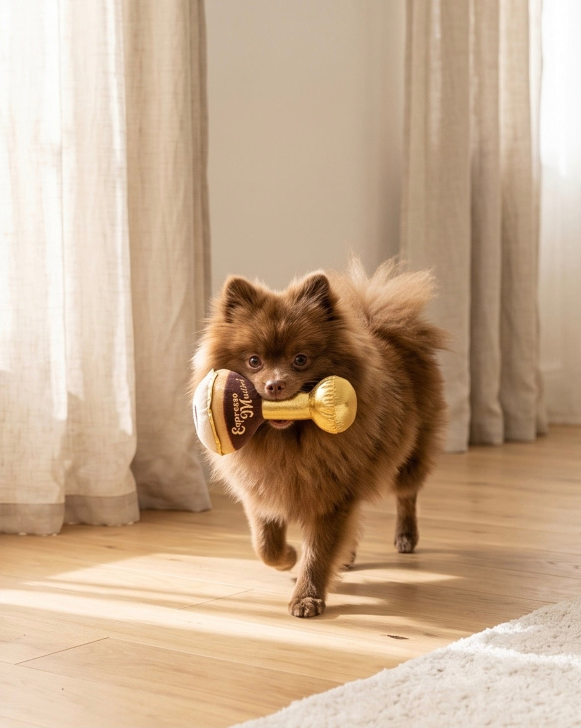 Espresso Muttini | Squeaky Plush Dog Toy with Crinkle & Mesh Lining