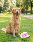 Load image into Gallery viewer, Pink Cowgirl Hat | Squeaky Plush Dog Toy with Crinkle & Mesh Lining
