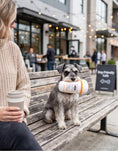 Load image into Gallery viewer, Pupkin' Donuts Hot Coffee | Squeaky Plush Dog Toy with Crinkle & Mesh Lining
