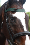 Load image into Gallery viewer, Jade Green Browband by Southlake Paws, featuring a close-up of a horse's head with a stylish green browband.
