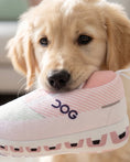 Load image into Gallery viewer, DOG Workout Shoe | Squeaky Plush Dog Toy with Crinkle & Mesh Lining
