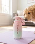 Load image into Gallery viewer, Pawlates Princess Water Bottle | Squeaky Plush Dog Toy with Crinkle & Mesh Lining
