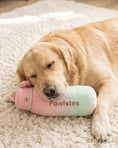 Load image into Gallery viewer, Pawlates Princess Water Bottle | Squeaky Plush Dog Toy with Crinkle & Mesh Lining

