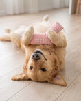 Load image into Gallery viewer, Doggo Athletic Sock | Squeaky Plush Dog Toy with Crinkle & Mesh Lining
