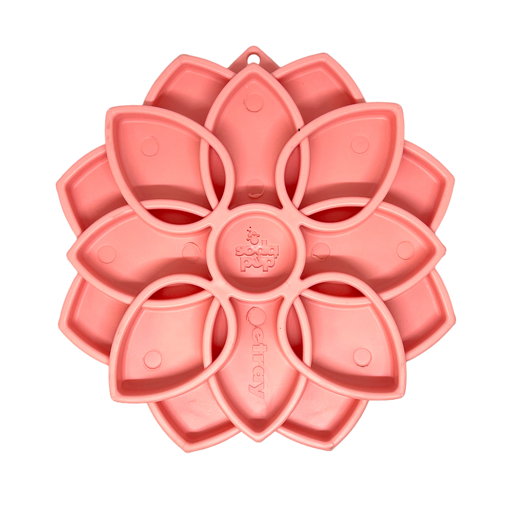 Mandala Softie eTray Shallow Slow Feeder Dog Bowl with Suction Cups |  USA Made