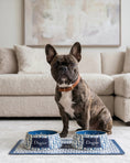 Load image into Gallery viewer, Dogior Placemat
