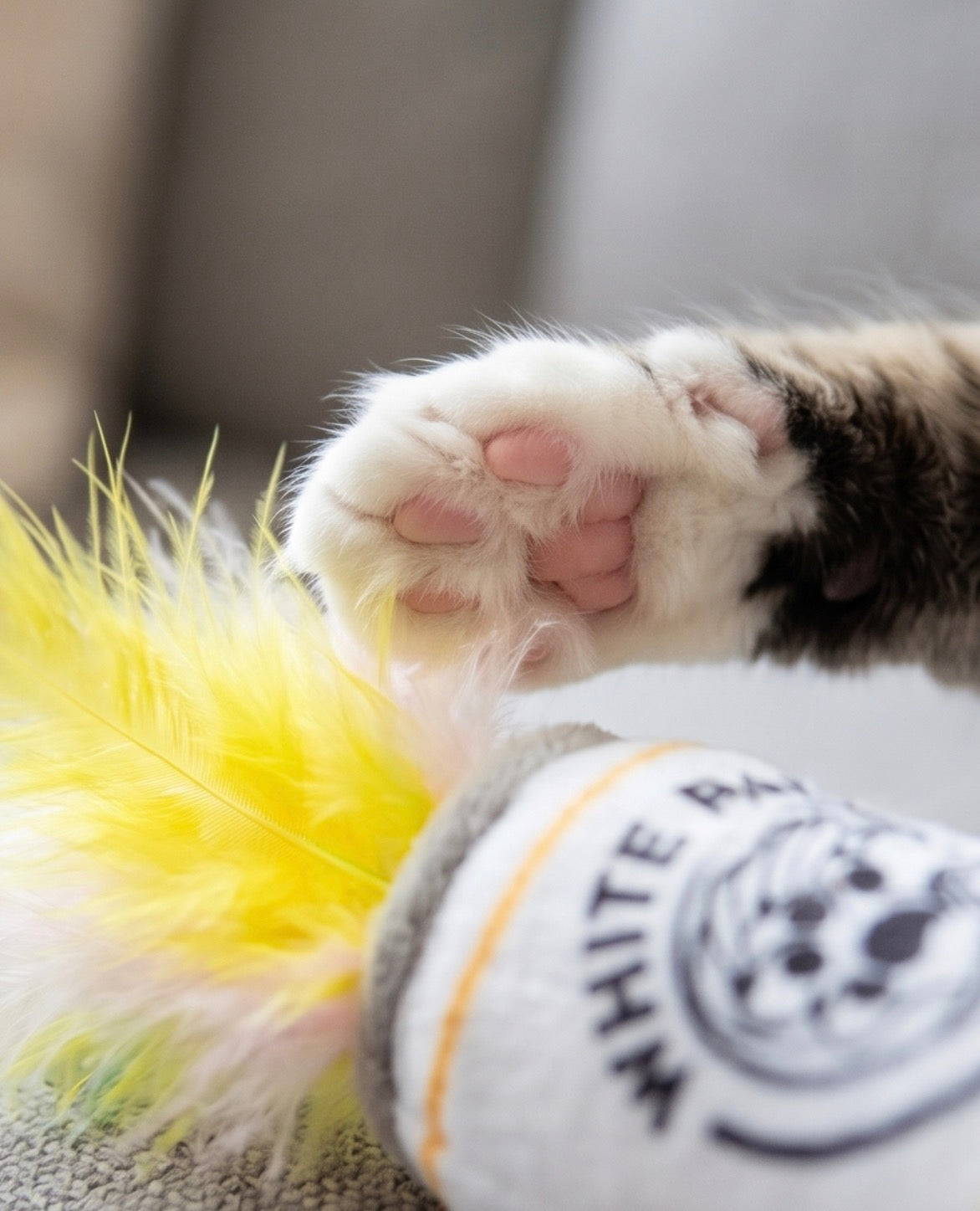 White Paw (Mango & Lime) - Organic Catnip