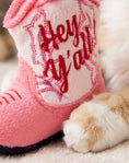 Load image into Gallery viewer, Kitty Cowgirl - Organic Catnip
