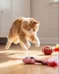 Load image into Gallery viewer, Kitty Era Tour - Organic Catnip
