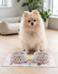 Load image into Gallery viewer, White Chewy Vuiton Bowls & Mat Bundle
