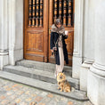 Load image into Gallery viewer, 'Brown' - Hands Free Braided Leash - Southlake Paws
