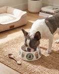 Load image into Gallery viewer, Starbarks Bowls
