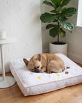 Load image into Gallery viewer, White Chewy Vuiton Bed
