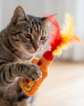 Load image into Gallery viewer, Furball + Catweiser - Organic Catnip
