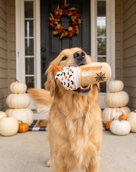 Pupkin' Donuts Halloween Iced Cup | Squeaky Plush Dog Toy with Crinkle & Mesh Lining