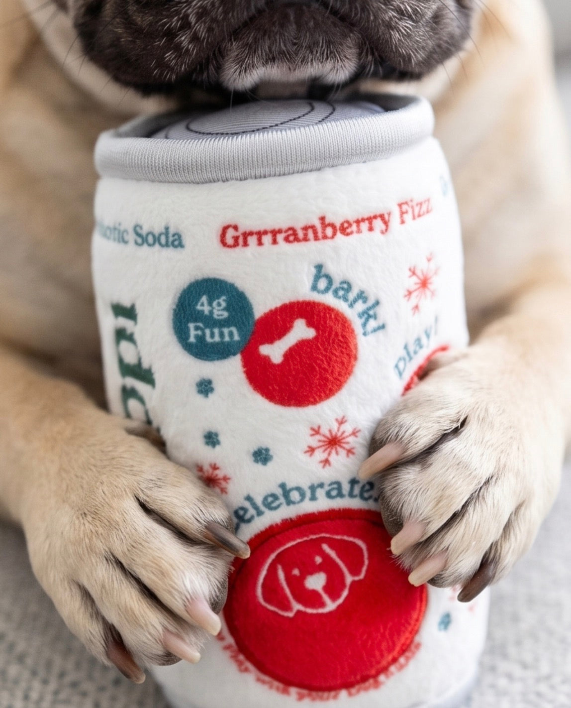 Puppi Grrranberry Fizz Holiday Plush Dog Toy | Squeaky Plush Dog Toy with Crinkle & Mesh Lining