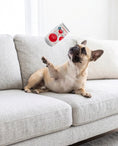 Load image into Gallery viewer, Puppi Grrranberry Fizz Holiday Plush Dog Toy | Squeaky Plush Dog Toy with Crinkle & Mesh Lining
