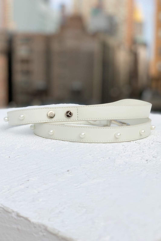 Essi Leash - Southlake Paws
