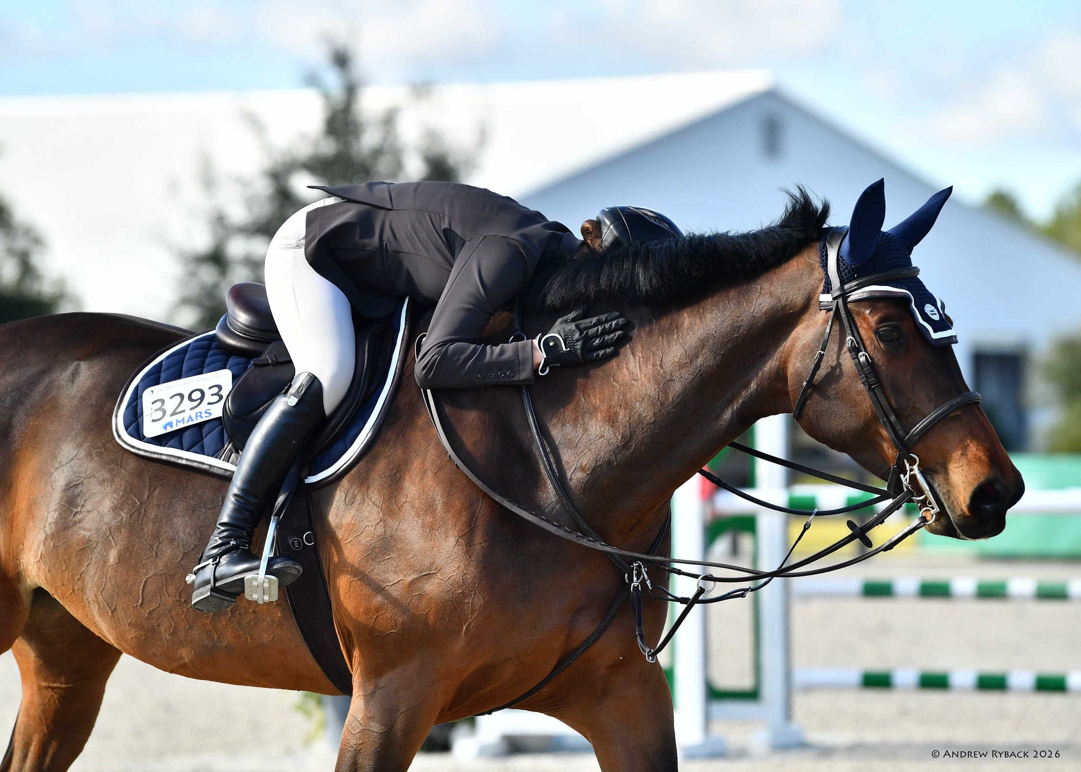 Horse Bonnet | Navy- Brown & White