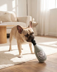 Load image into Gallery viewer, Dog Perignonn Champagne Toy
