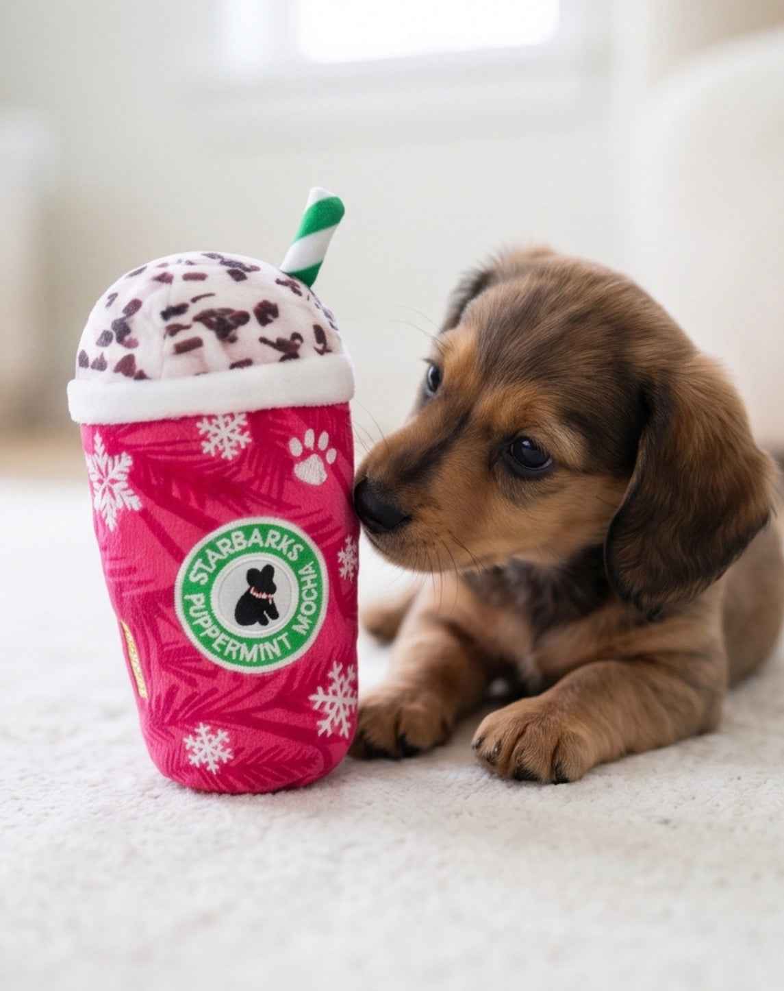 Starbarks Puppermint Mocha Christmas Holiday Plush Dog Toy