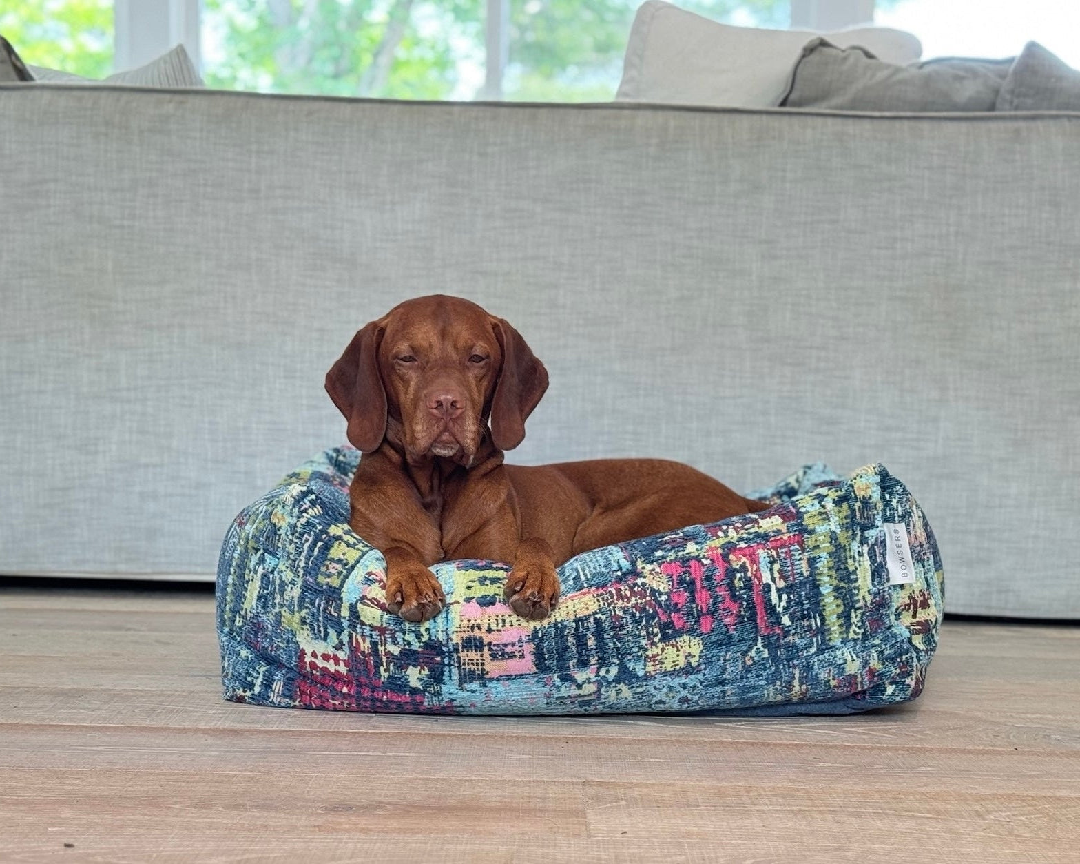 Bowsers Franklin Orthopedic Dog Bed in aquarius
