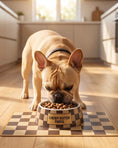 Load image into Gallery viewer, Tan Checker Chewy Vuiton Bowls & Mat
