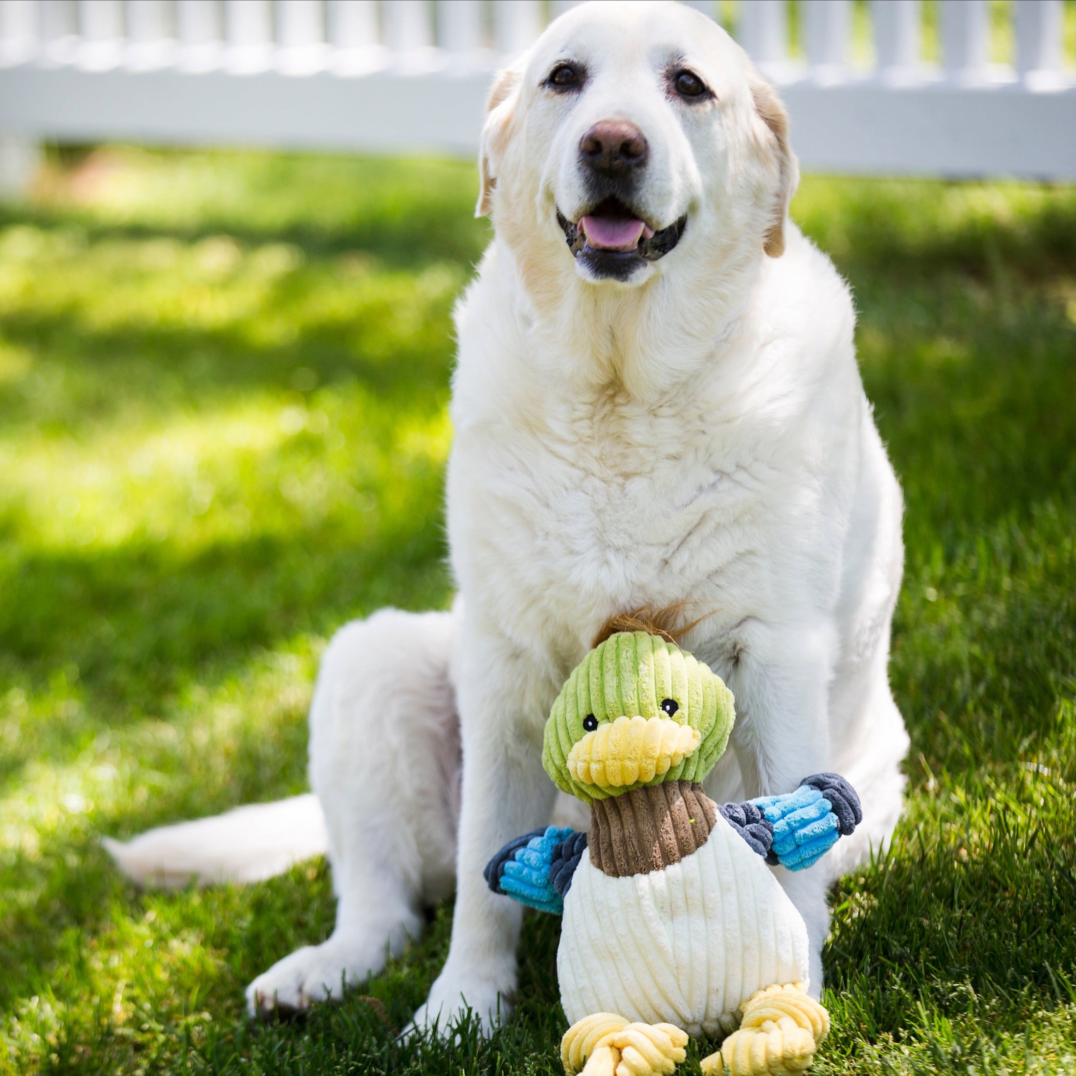 Dilly Duck Knottie® Plush Dog Toy - image 11