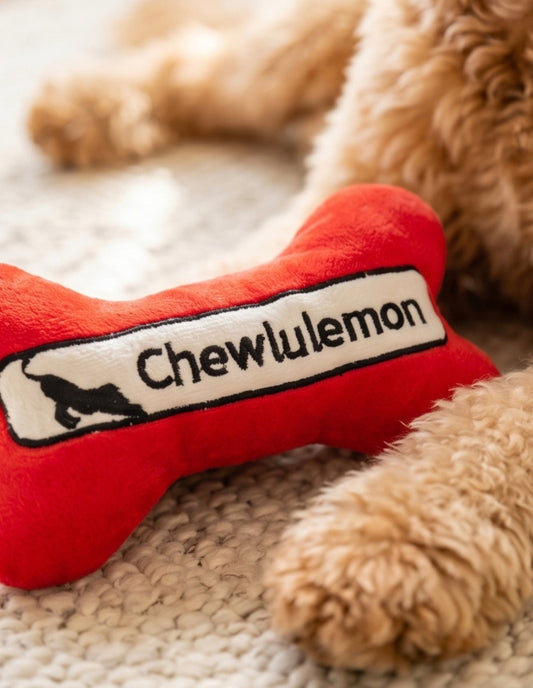 Chewlulemon Bone | Squeaky Plush Dog Toy with Crinkle & Mesh Lining