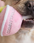 Load image into Gallery viewer, Cosmuttpolitan
