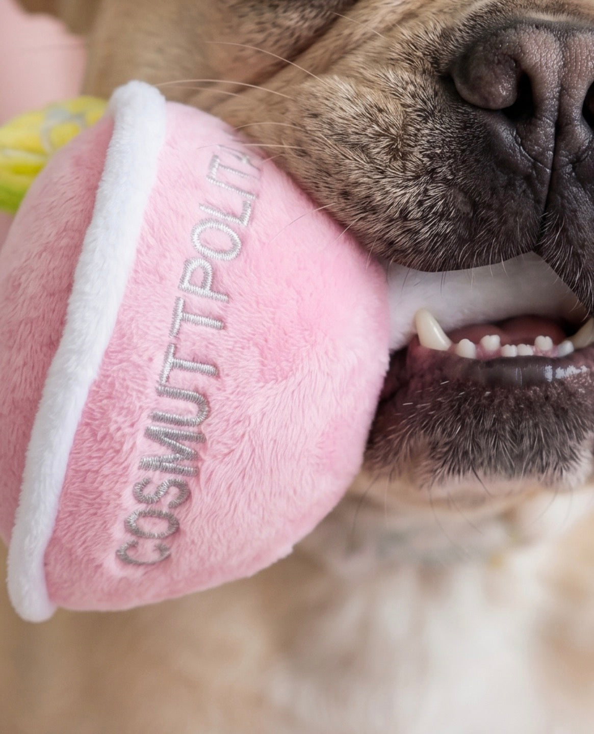 Cosmuttpolitan