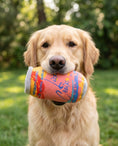 Load image into Gallery viewer, LickCroix Pamplemutt Barkling Water
