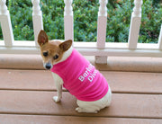 Parisian Pet 'Barking Diva' Dog Shirt – Cute Slogan Pet T-Shirt for Dogs & Cats, Pink