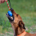 Load image into Gallery viewer, USA-K9 Cherry Bomb Durable Rubber Chew Toy, Treat Dispenser, Reward Toy, Tug Toy, and Retrieving Toy
