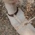Load image into Gallery viewer, Brown and Tan - Dog Harness
